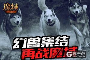 幻兽才是本体 全新《魔域手游》你不是一个人在战斗