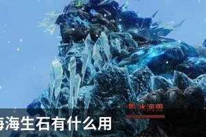 妄想山海海生石有什么用