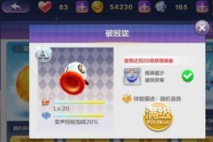 刷经验宠物排行榜