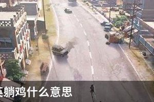 和平精英躺鸡什么意思