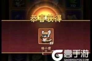 《暴走大侠》猫小狸怎么获得 猫小狸获得与培养攻略