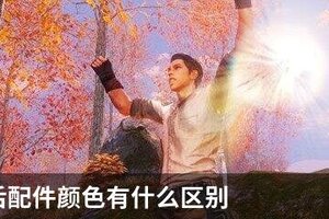 明日之后配件颜色有什么区别