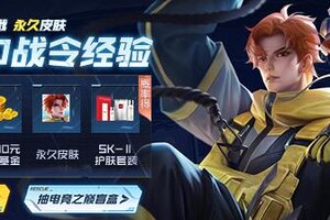 《王者荣耀》我的全民电竞之路，该我上场，竞技一夏！