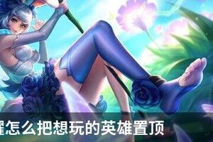 王者荣耀怎么把想玩的英雄置顶