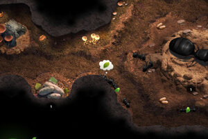 《小小蚁国》海量大礼包火爆来袭 官方最新版下载开启