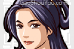 丁夫人图鉴
