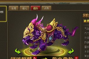 坐骑喂养玩法解析