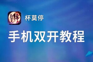 有没有杯莫停双开软件推荐 深度解答如何双开杯莫停