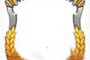 王者荣耀体验服排位赛活动 赢取专属定制头像框