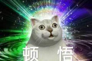 《梦想桃源》圣兽·朝天犼携命星守护将至