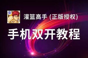 灌篮高手 (正版授权)如何双开 2020最新双开神器来袭