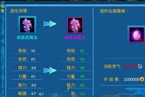 宠物培养攻略