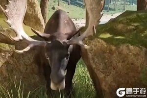 《疯狂神射手》枪械图鉴：AWM狙击步枪实战解析