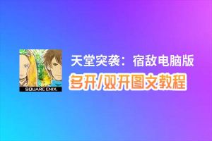 天堂突袭：宿敌怎么双开、多开？天堂突袭：宿敌双开助手工具下载安装教程