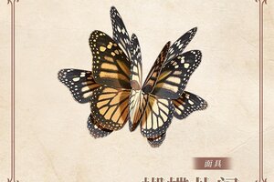 《螺旋圆舞曲》活动合集 | 童心绘梦，端午安康