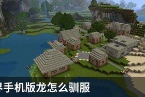 我的世界手机版龙怎么驯服