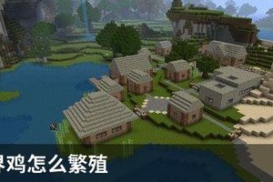 我的世界鸡怎么繁殖
