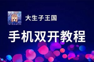 大生子王国如何双开 2020最新双开神器来袭