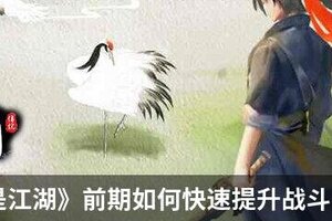 《这就是江湖》新手攻略：前期如何快速提升战斗力？