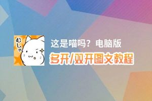 这是喵吗？怎么双开、多开？这是喵吗？双开助手工具下载安装教程