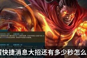 王者荣耀快捷消息大招还有多少秒怎么设置