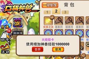 玩家分享各阶段需带的神兽深度分析