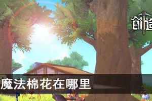 创造与魔法棉花在哪里