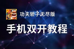 功夫轿子无尽版挂机软件&双开软件推荐  轻松搞定功夫轿子无尽版双开和挂机