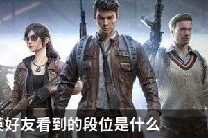 和平精英好友看到的段位是什么
