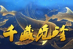 《蜀山传奇》本周特别活动：千藏觅珍