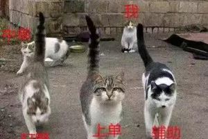 王者荣耀哪一路崩了最容易输？