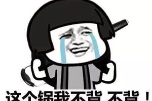 王者荣耀里最搞笑的话：没有垃圾英雄，只有垃圾玩家
