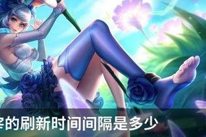 王者主宰的刷新时间间隔是多少