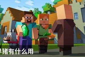 我的世界猪有什么用