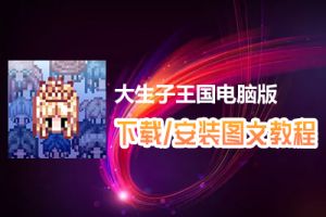 大生子王国电脑版下载、安装图文教程　含：官方定制版大生子王国电脑版手游模拟器