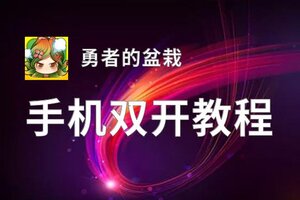 勇者的盆栽如何双开 2020最新双开神器来袭