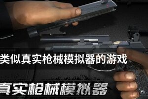 类似真实枪械模拟器的游戏