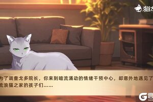《猫之城》❤️‍🩹版本预告 | 活动故事