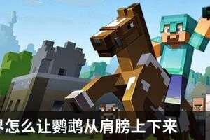 我的世界怎么让鹦鹉从肩膀上下来