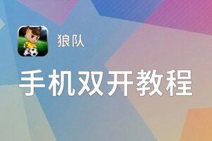 怎么双开狼队？ 狼队双开挂机图文全攻略