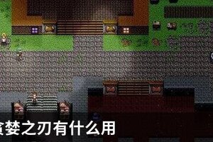 伊洛纳贪婪之刃有什么用