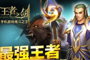 新职业德鲁伊技能详解