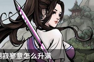 烟雨江湖寂寥意怎么升满