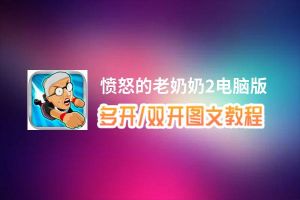 愤怒的老奶奶2怎么双开、多开？愤怒的老奶奶2双开助手工具下载安装教程