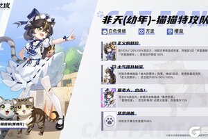 《猫之城》中华田园猫：非天（幼年）-猫猫特攻队即将登场！