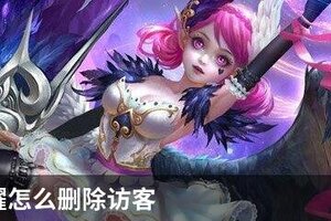 王者荣耀怎么删除访客