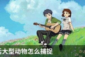 小森生活大型动物怎么捕捉