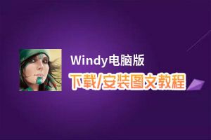 Windy电脑版_电脑玩Windy模拟器下载、安装攻略教程