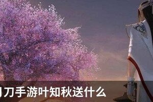 天涯明月刀手游叶知秋送什么