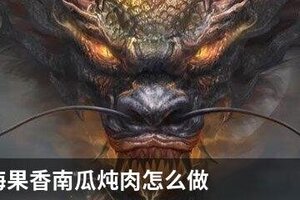 妄想山海果香南瓜炖肉怎么做